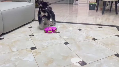 palla rimbalzante con disco volante