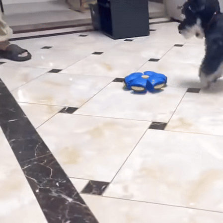 palla rimbalzante con disco volante